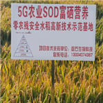 示范基地